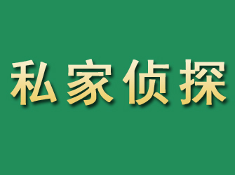 金山市私家正规侦探